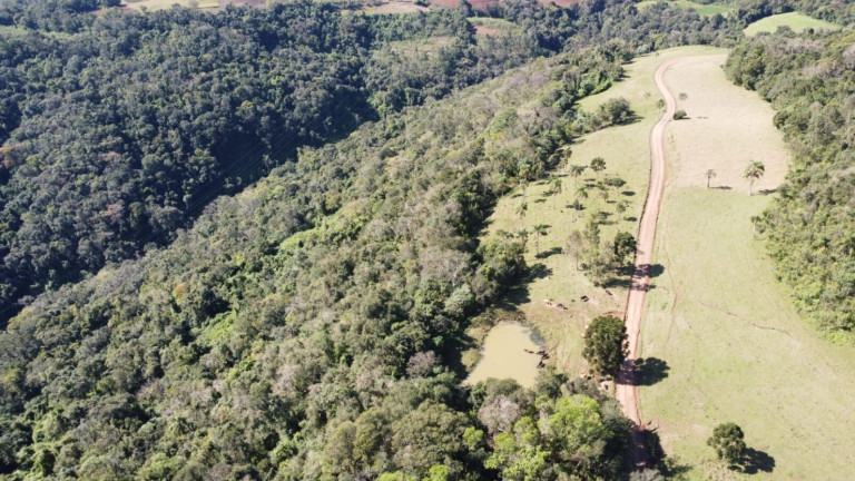 Imagem Chácara com 4 Quartos à Venda, 365.000 m² em Centro - Vale Do Sol