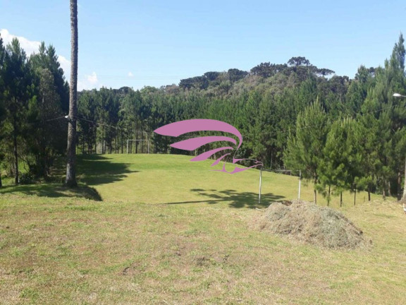 Imagem Imóvel à Venda, 25.892 m² em Borda Do Campo - São José Dos Pinhais Imagem Imóvel à Venda, 25.892 m² em Borda Do Campo - São José Dos Pinhais