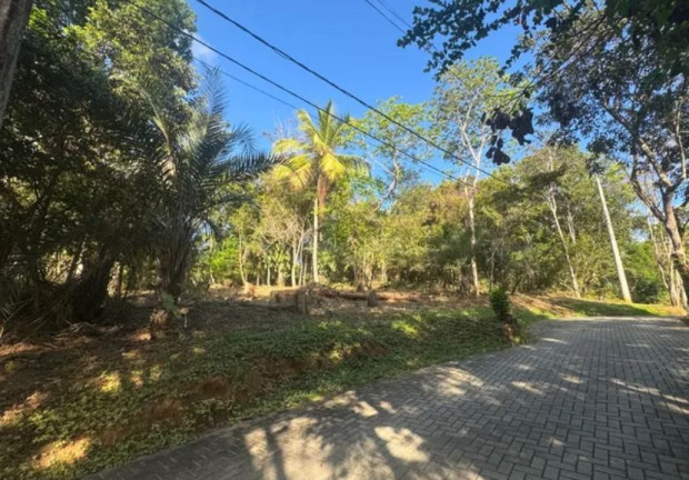 Imagem Terreno à Venda, 450 m² em Praia Do Forte - Mata De São João Imagem Terreno à Venda, 450 m² em Praia Do Forte - Mata De São João