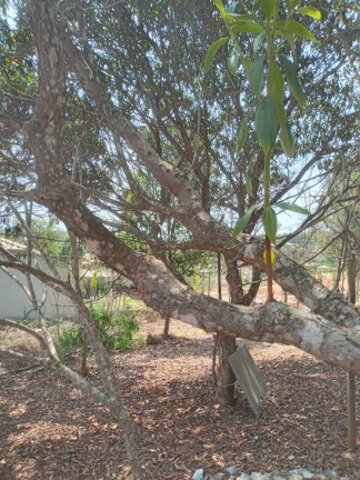 Imagem Chácara à Venda, 1.999 m² em Condomínio Tiradentes - Brumadinho Imagem Chácara à Venda, 1.999 m² em Condomínio Tiradentes - Brumadinho