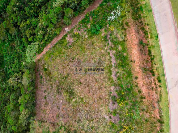 Imagem Terreno em Condomínio à Venda, 1 m² em Alto Capivari - Campos Do Jordão Imagem Terreno em Condomínio à Venda, 1 m² em Alto Capivari - Campos Do Jordão