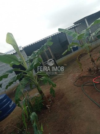 Imagem Fazenda à Venda, em Tiquaruçu - Feira De Santana Imagem Fazenda à Venda, em Tiquaruçu - Feira De Santana