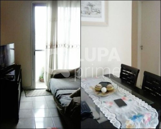 Apartamento com 1 Quarto à Venda, 36 m² em Limão - São Paulo