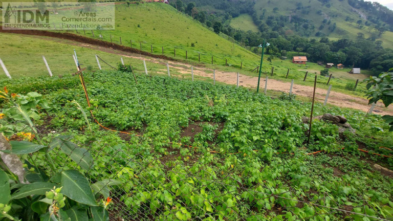 Imagem Chácara à Venda, 600.000 m² em Centro - Gonçalves Imagem Chácara à Venda, 600.000 m² em Centro - Gonçalves