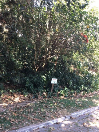 Imagem Terreno à Venda, 1.300 m² em Altos De São Fernando - Jandira Imagem Terreno à Venda, 1.300 m² em Altos De São Fernando - Jandira