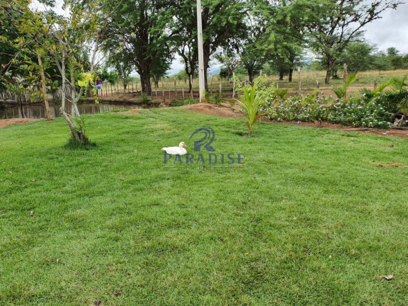 Imagem Fazenda à Venda, 2.551.000 m² em Centro - Santa Terezinha Imagem Fazenda à Venda, 2.551.000 m² em Centro - Santa Terezinha