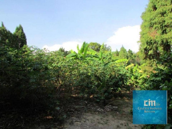 Imagem Chácara com 4 Quartos à Venda, 145 m² em Fazenda Castelo - Boituva Imagem Chácara com 4 Quartos à Venda, 145 m² em Fazenda Castelo - Boituva