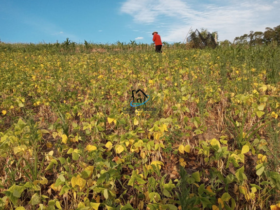 Imagem Terreno à Venda, 32.000 m² em Zona Rural - Prudentópolis Imagem Terreno à Venda, 32.000 m² em Zona Rural - Prudentópolis