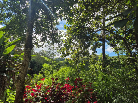 Imagem Imóvel à Venda, em São José Dos Campos Imagem Imóvel à Venda, em São José Dos Campos