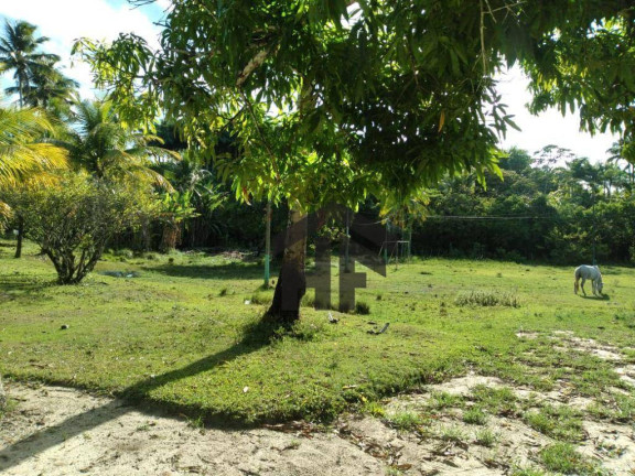Imagem Chácara com 6 Quartos à Venda, 25.000 m² em Cruz De Rebouças - Igarassu