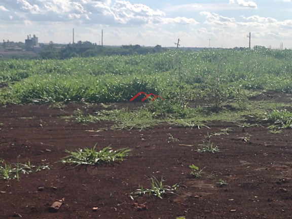 Imagem Terreno à Venda, 445 m² em Betel - Paulínia Imagem Terreno à Venda, 445 m² em Betel - Paulínia