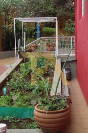 Imagem Imóvel com 2 Quartos à Venda, 1.000 m² em Garças - Belo Horizonte Imagem Imóvel com 2 Quartos à Venda, 1.000 m² em Garças - Belo Horizonte