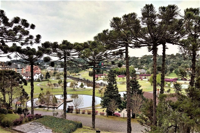 Imagem Terreno à Venda, 488 m² em Quinta Da Serra - Canela Imagem Terreno à Venda, 488 m² em Quinta Da Serra - Canela