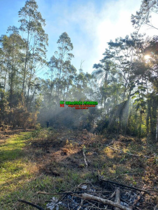 Imagem Chácara à Venda, 20.000 m² em Centro - Monteiro Lobato Imagem Chácara à Venda, 20.000 m² em Centro - Monteiro Lobato