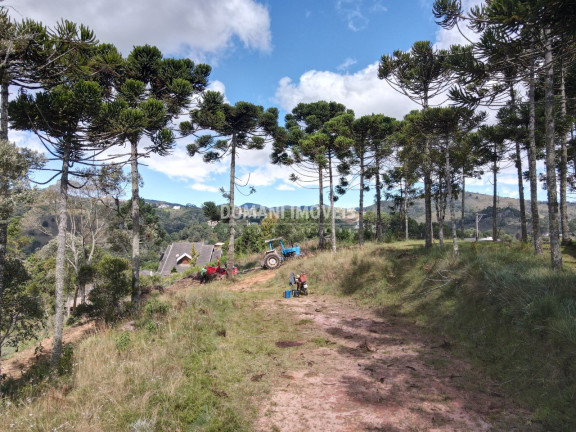 Imagem Terreno à Venda, 2.420 m² em Região De Descansópolis - Campos Do Jordão Imagem Terreno à Venda, 2.420 m² em Região De Descansópolis - Campos Do Jordão