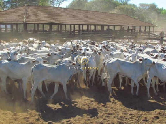Imagem Imóvel com 3 Quartos à Venda, 100.532 m² em Mato Grosso - Novo Santo Antônio Imagem Imóvel com 3 Quartos à Venda, 100.532 m² em Mato Grosso - Novo Santo Antônio