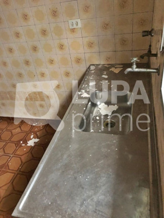 Imagem Casa com 1 Quarto para Alugar, 60 m² em Vila Maria Alta - São Paulo Imagem Casa com 1 Quarto para Alugar, 60 m² em Vila Maria Alta - São Paulo