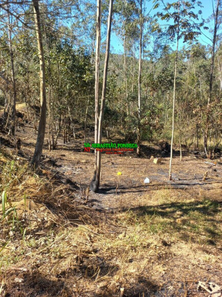 Imagem Chácara à Venda, 20.000 m² em Centro - Monteiro Lobato Imagem Chácara à Venda, 20.000 m² em Centro - Monteiro Lobato