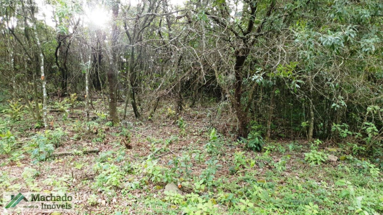 Terreno à Venda, 2 m² em Rural - Itaara