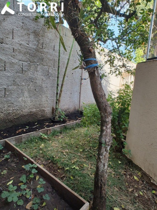 Imagem Imóvel com 2 Quartos à Venda, 350 m² em Centro - Araçoiaba Da Serra Imagem Imóvel com 2 Quartos à Venda, 350 m² em Centro - Araçoiaba Da Serra