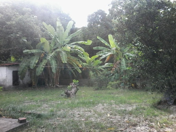 Imagem Imóvel com 4 Quartos à Venda, 4.200 m² em Cágado - Maracanaú