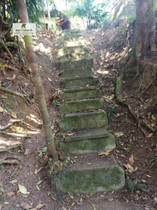 Imagem Chácara com 5 Quartos à Venda, 5.530 m² em Alto Da Serra - São Roque Imagem Chácara com 5 Quartos à Venda, 5.530 m² em Alto Da Serra - São Roque