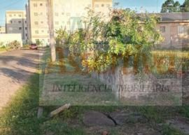 Imagem Terreno à Venda, em Feitoria - São Leopoldo Imagem Terreno à Venda, em Feitoria - São Leopoldo