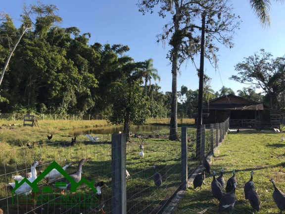 Imagem Chácara com 4 Quartos à Venda, 300 m² em Pinheiros - Balneário Barra Do Sul