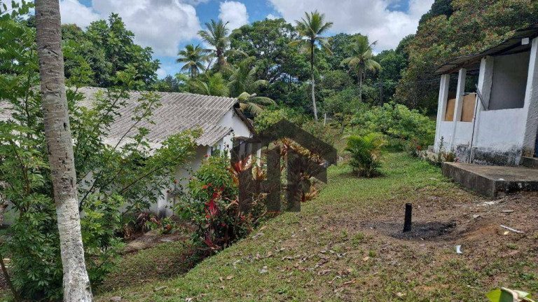 Imagem Imóvel com 3 Quartos à Venda, 5.000 m² em Guabiraba - Paulista Imagem Imóvel com 3 Quartos à Venda, 5.000 m² em Guabiraba - Paulista