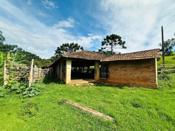 Imagem Fazenda à Venda, 30.000 m² em Centro - Joanópolis Imagem Fazenda à Venda, 30.000 m² em Centro - Joanópolis