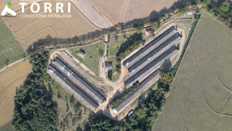 Imagem Imóvel com 7 Quartos à Venda, 500 m² em Centro - Tatuí Imagem Imóvel com 7 Quartos à Venda, 500 m² em Centro - Tatuí
