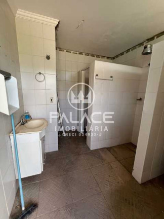 Imagem Imóvel com 3 Quartos para Alugar, 974 m² em Jardim Caxambu - Piracicaba Imagem Imóvel com 3 Quartos para Alugar, 974 m² em Jardim Caxambu - Piracicaba