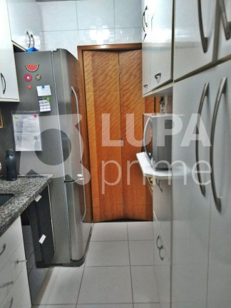 Imagem Apartamento com 3 Quartos à Venda, 66 m² em Vila Guilherme - São Paulo