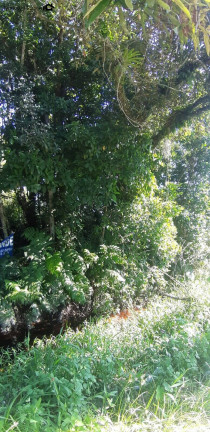 Imagem Terreno à Venda, 360 m² em Nereidas - Guaratuba