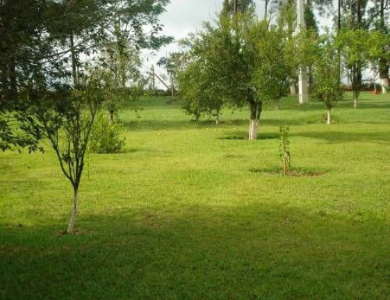 Imagem Imóvel com 5 Quartos à Venda, 300 m² em Fazenda Velha - Cesário Lange