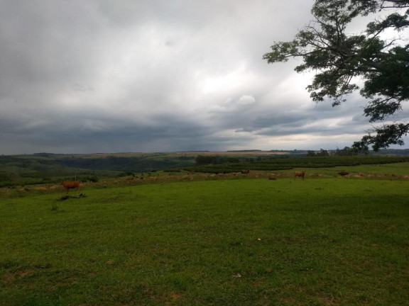 Imagem Fazenda à Venda, 183 m² em Garça - Garça Imagem Fazenda à Venda, 183 m² em Garça - Garça