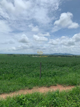 Imagem Imóvel com 3 Quartos à Venda, 43.000 m² em Zona Rural - Aurora Do Pará Imagem Imóvel com 3 Quartos à Venda, 43.000 m² em Zona Rural - Aurora Do Pará
