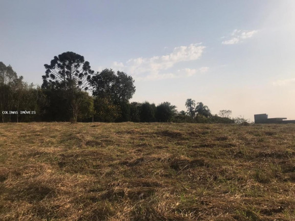 Imagem Terreno à Venda,  em Antes Do Centro - Ibiúna