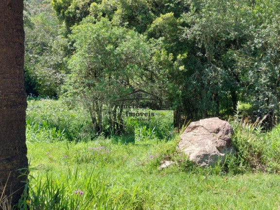 Imagem Imóvel à Venda, 6.996 m² em Sertão De Santa Barbara - Cunha Imagem Imóvel à Venda, 6.996 m² em Sertão De Santa Barbara - Cunha