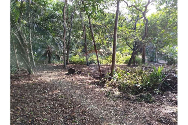 Imagem Terreno à Venda, 600 m² em Praia Do Forte - Mata De São João Imagem Terreno à Venda, 600 m² em Praia Do Forte - Mata De São João