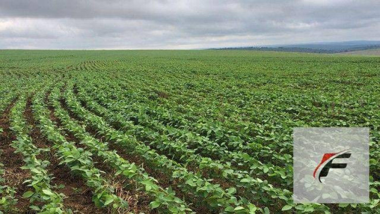 Imóvel à Venda, 1.234.200 m² em Miringuava - São José Dos Pinhais