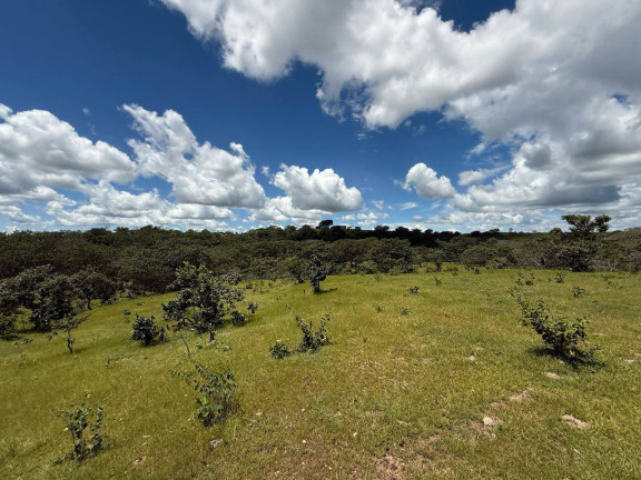 Imagem Fazenda à Venda, em Bom Jardim De Goiás Imagem Fazenda à Venda, em Bom Jardim De Goiás