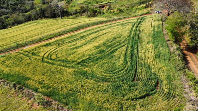 Imagem Terreno à Venda, 2.600 m² em Tomazina - Tomazina Imagem Terreno à Venda, 2.600 m² em Tomazina - Tomazina