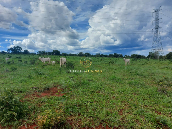 Imagem Imóvel com 3 Quartos à Venda, 45.500 m² em Zona Rural - Minaçu Imagem Imóvel com 3 Quartos à Venda, 45.500 m² em Zona Rural - Minaçu