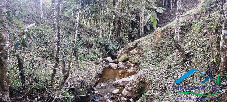 Imagem Chácara com 1 Quarto à Venda, 22 m² em Centro - Paraisópolis