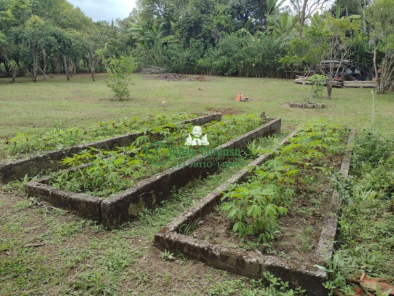 Imagem Chácara com 4 Quartos à Venda, 6.160 m² em Centro - Paraibuna