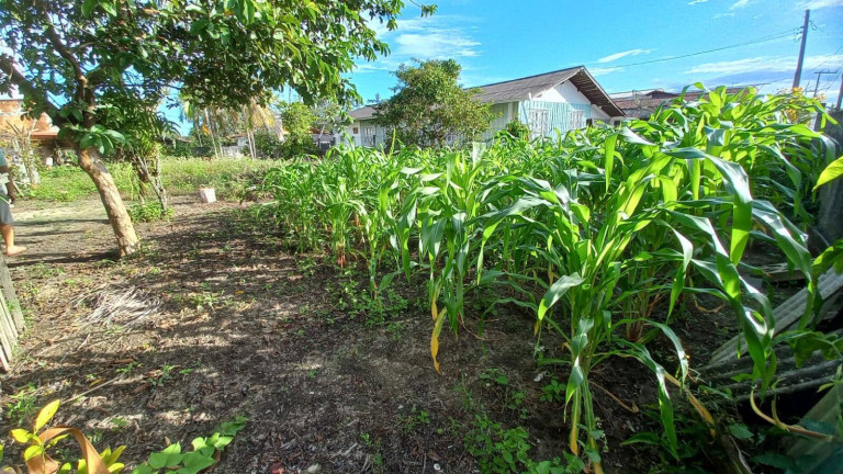 Imagem Terreno à Venda, em Costeira - Balneário Barra Do Sul Imagem Terreno à Venda, em Costeira - Balneário Barra Do Sul