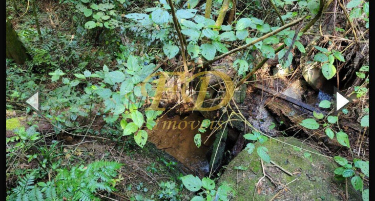 Imagem Terreno em Condomínio à Venda, 3.100 m² em Santa Inês - Mairiporã Imagem Terreno em Condomínio à Venda, 3.100 m² em Santa Inês - Mairiporã