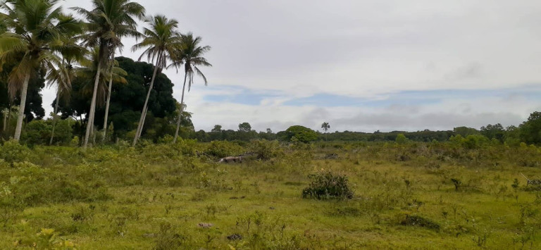 Imagem Chácara à Venda, 14 m² em Centro - Caravelas