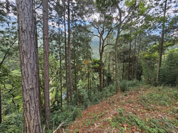 Imagem Terreno à Venda, 670 m² em Cascata Dos Amores - Teresópolis Imagem Terreno à Venda, 670 m² em Cascata Dos Amores - Teresópolis